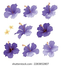 Tropical flower vector illustration material collection,