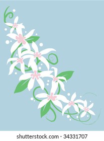 Tropical Flowers