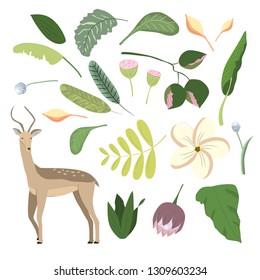 Tropical flowers and animal. Hand drawn flat color illustrations set. Safari sketch.Vector.