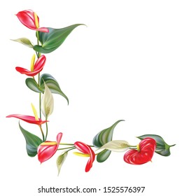 Tropical flowers. Anthurium. Floral background. Spathiphyllum. Red. Green.