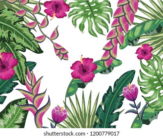Tropical flowers background