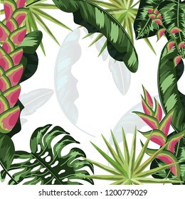 Tropical flowers background