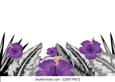 Tropical flowers background