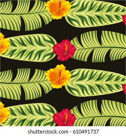 tropical flowers background. colorful design. vector illustration