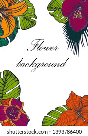 tropical flowers background ,vector,hand drawing ,color isolated on white
