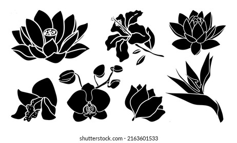 Tropical flowers big set. Silhouette simple icons of plant botanical patterns of buds and flowers