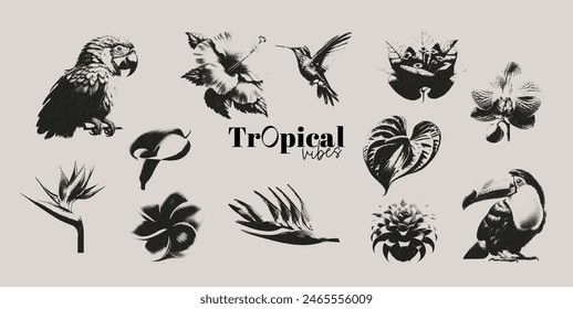 Tropical flowers and birds photocopy effect elements set with grunge stippling grain messy texture. Trendy y2k aesthetic vector illustration. Ideal for poster design, t shirt