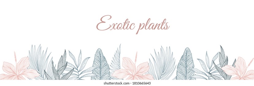 Tropical Flowers Border Pattern In Sketch Style On White Background. Background With Hibiscus, Protea, Magnolia, Palm Leaves.
