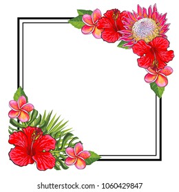 Tropical flowers bouquet elements at corners of square shape with copy space. Isolated vector illustration of exotic red and pink blooms and green palm leaves for greeting card or invitation.