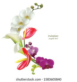 Tropical flowers. Calla. Orchids. Anthurium. Exotic plants.