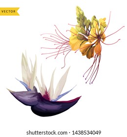 Tropical flowers, can be used as greeting card, invitation card for wedding, birthday and other holiday and  summer background. Vector  illustration.
