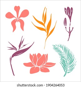 Tropical flowers collection: orchid, lotus, strelitzia, plumeria, heliconia. Hand drawn colorful sketch of tropical flowers and leaves isolated on white background. Vector illustration