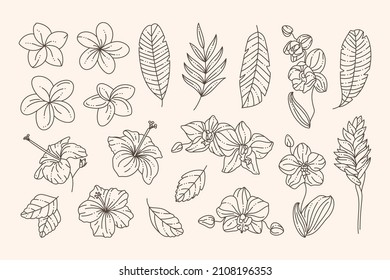 Tropical Flowers Collection Orchids, Hibiscus, Plumeria and Palm Leaves in a Trendy Minimalist Liner Style. Vector Floral Illustration for creating a Logo, Patterns, social media post and stories