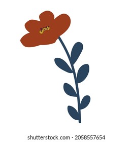 Tropical flowers collection. Vector isolated elements on the white background