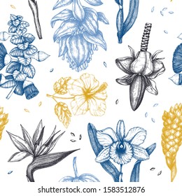 Tropical flowers in color seamless pattern. Vector illustrations of exotic flowering plants background - Medinilla, bird of paradise, hibiscus, orchid, ginger, banana flowers. Hand drawn floral design