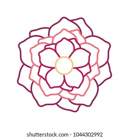 tropical flowers design