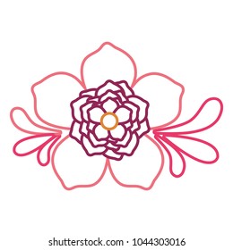 tropical flowers design