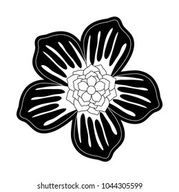 tropical flowers design