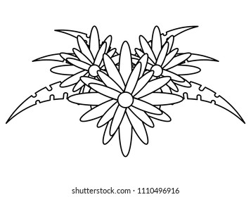 tropical flowers design