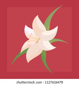 tropical flowers design