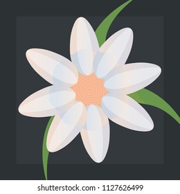 tropical flowers design