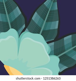 tropical flowers design