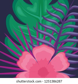 tropical flowers design
