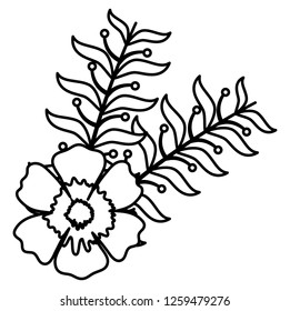 tropical flowers design