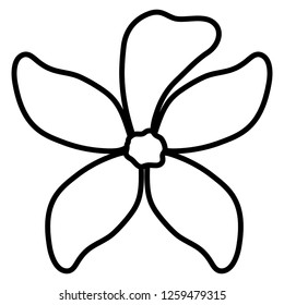 tropical flowers design