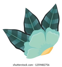 tropical flowers design