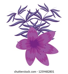 tropical flowers design