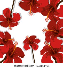 tropical flowers design