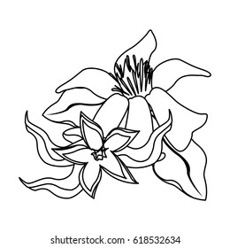 tropical flowers design