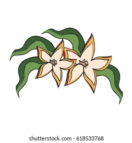 tropical flowers design