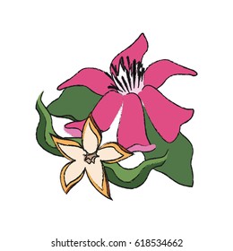 tropical flowers design