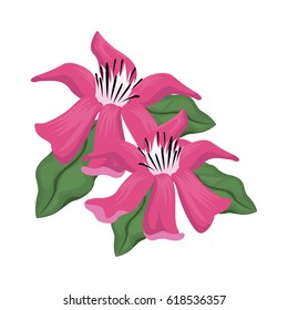 tropical flowers design