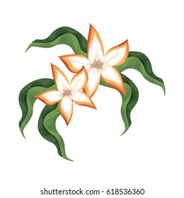 tropical flowers design