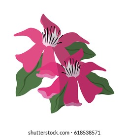 tropical flowers design