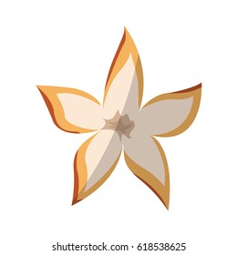 tropical flowers design