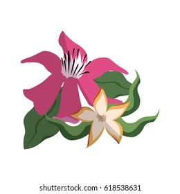 tropical flowers design