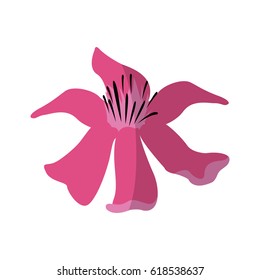 tropical flowers design