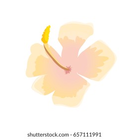 tropical flowers design