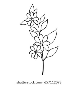 tropical flowers design