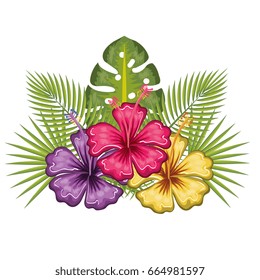 Tropical flowers design