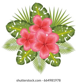 Tropical flowers design