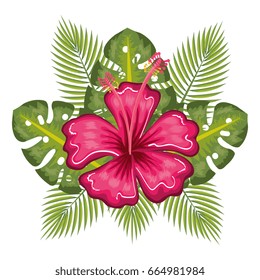 Tropical flowers design