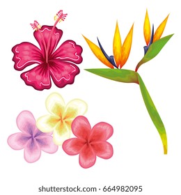 Tropical flowers design