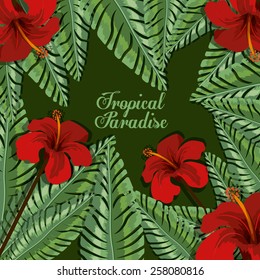 Tropical flowers design over green background, vector illustration