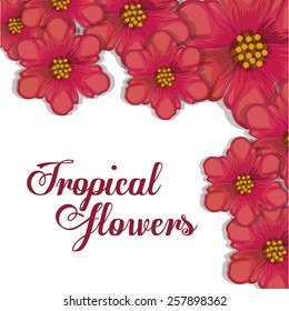 Tropical flowers design, vector illustration