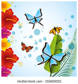 tropical flowers design, vector illustration eps10 graphic 